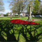 The War Memorial & its Tulips shadowed by the trees.
