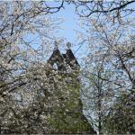 Holy Trinity seen through cherry blossom.